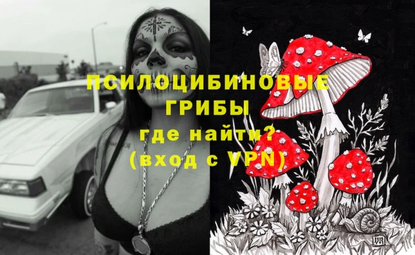 хмурый Алексин