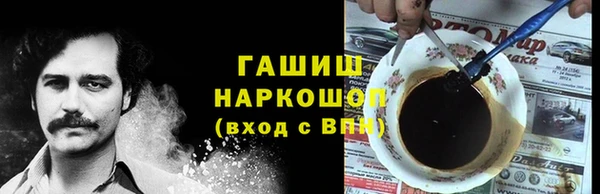 хмурый Алексин