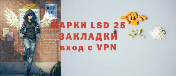хмурый Алексин