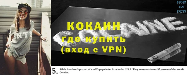 хмурый Алексин