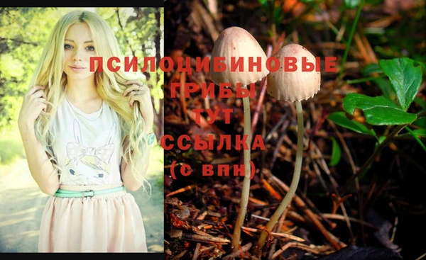 хмурый Алексин