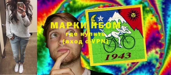 хмурый Алексин