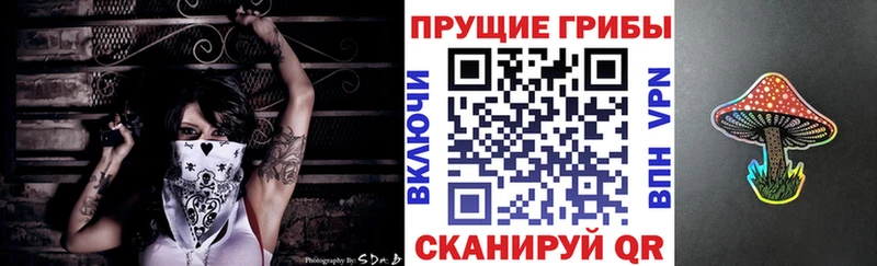 Галлюциногенные грибы мицелий  Пролетарск 